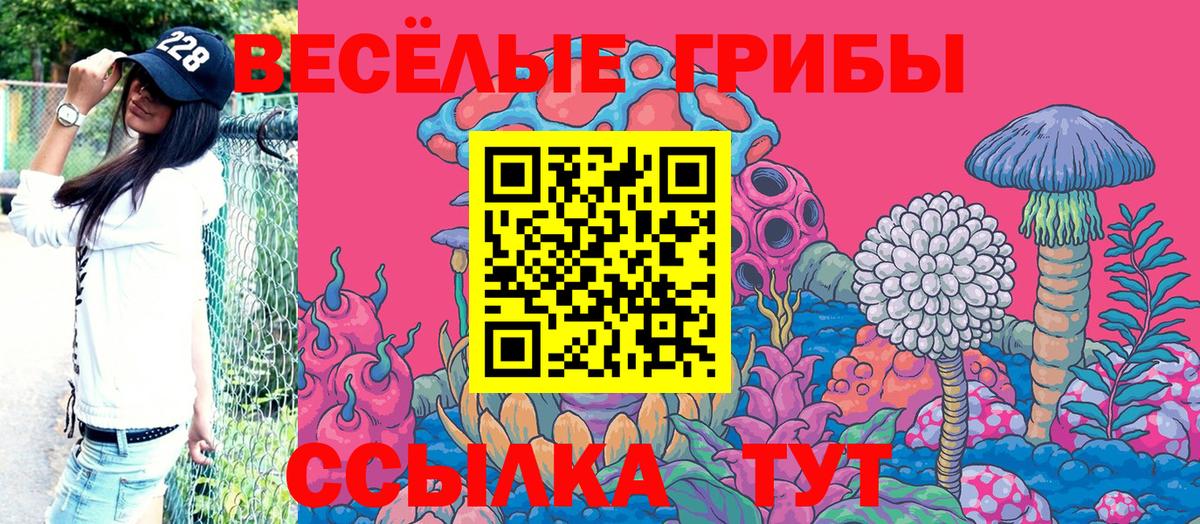 Псилоцибиновые грибы прущие грибы  где купить наркоту  Боровичи  Вход с VPN 