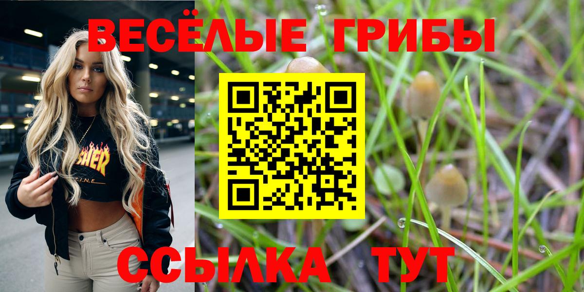 Псилоцибиновые грибы GOLDEN TEACHER Боровичи